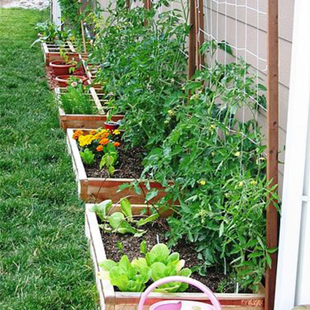 3 Types of Sustainable Gardening