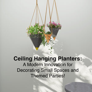 Ceiling Hanging Planters: A Modern Innovation for Decorating Small Spaces and Themed Parties! | ReStory