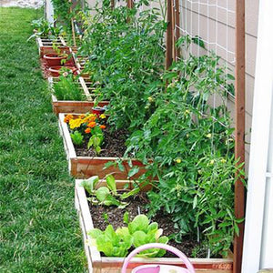 3 Types of Sustainable Gardening