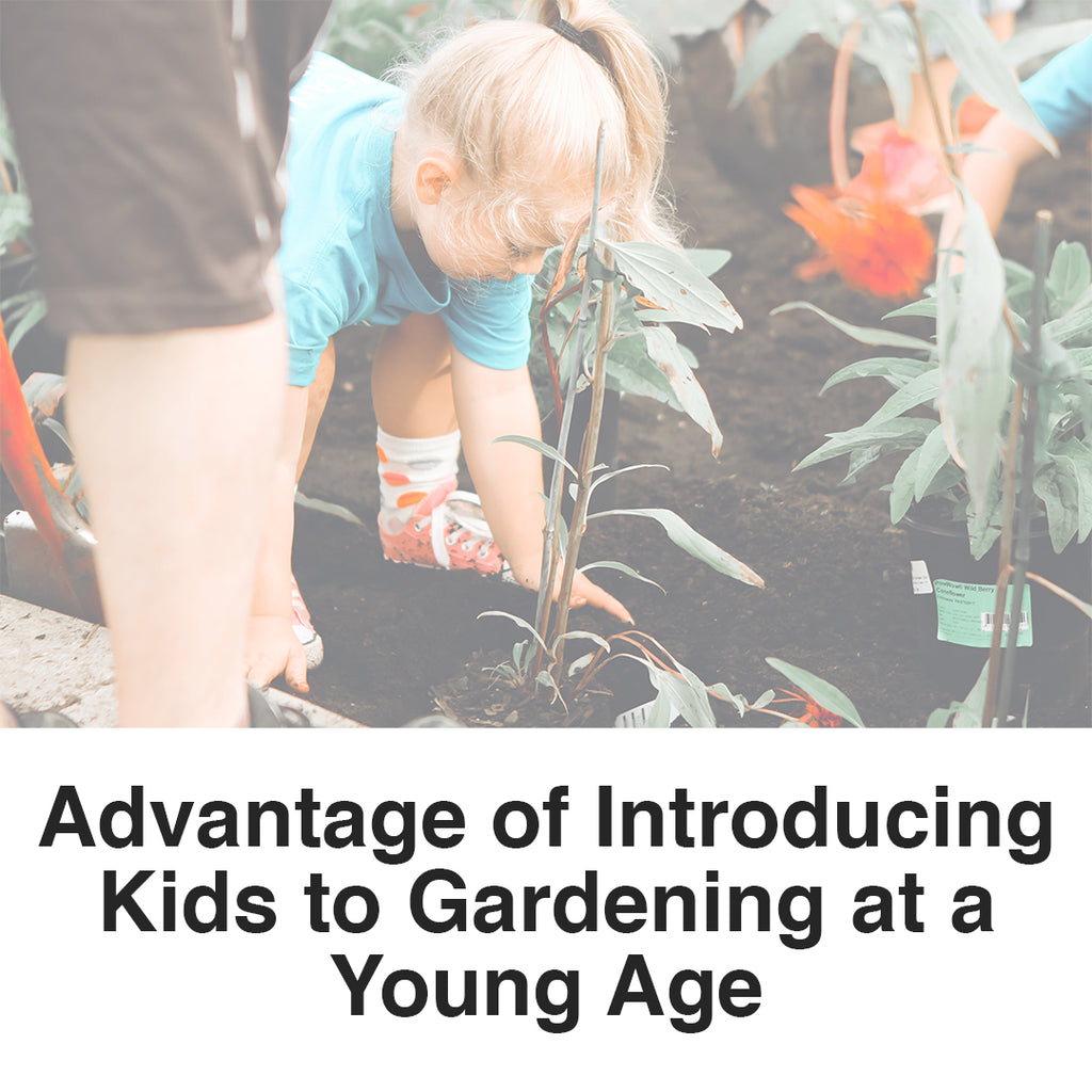 Advantage of Introducing Kids to Gardening at a Young Age | ReStory