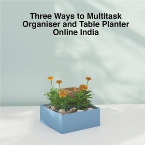 Three Ways to Multitask Organiser and Table Planter Online in India | ReStory