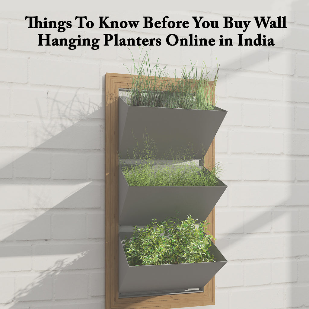 Things To Know Before You Buy Wall Hanging Planters Online in India | ReStory