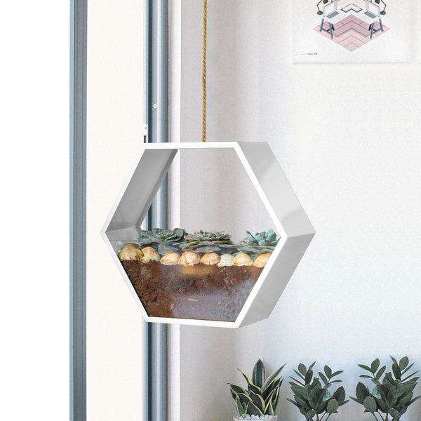 ReStory Disch Hexagon Metal Hydroponic Planter - Table/Wall hanging/Ceiling hanging
