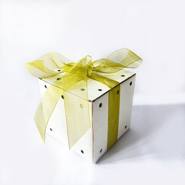 ReStory Gift box - Succulent set of 10