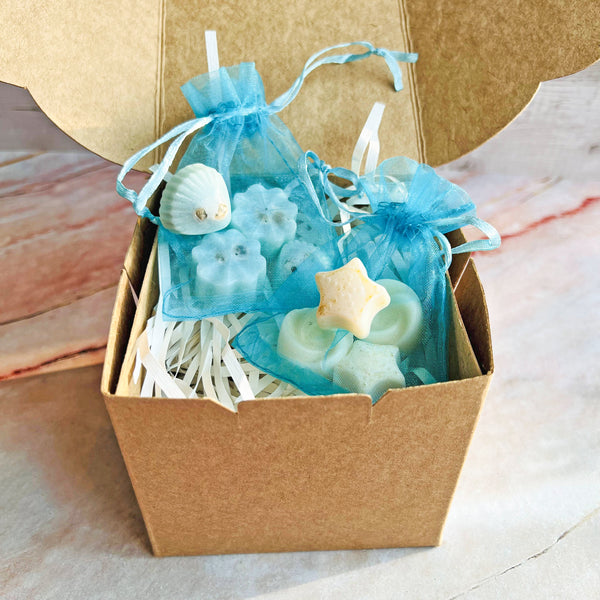ReStory Soy wax melts pack of 8 - assorted scents - Oceanic Mist and Morning Bloom