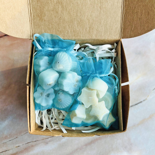 ReStory Soy wax melts pack of 16 - assorted scents - Oceanic Mist and Morning Bloom