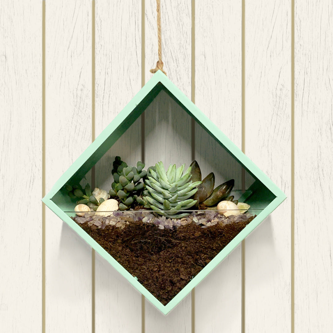 ReStory Disch Square Metal Hydroponic Planter - Wall hanging/Ceiling hanging